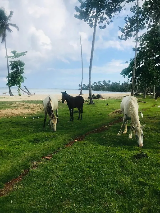 Oasis En La Naturaleza Rancho Alto Bonito Las Galeras Hotel